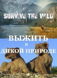 Как выжить в дикой природе
